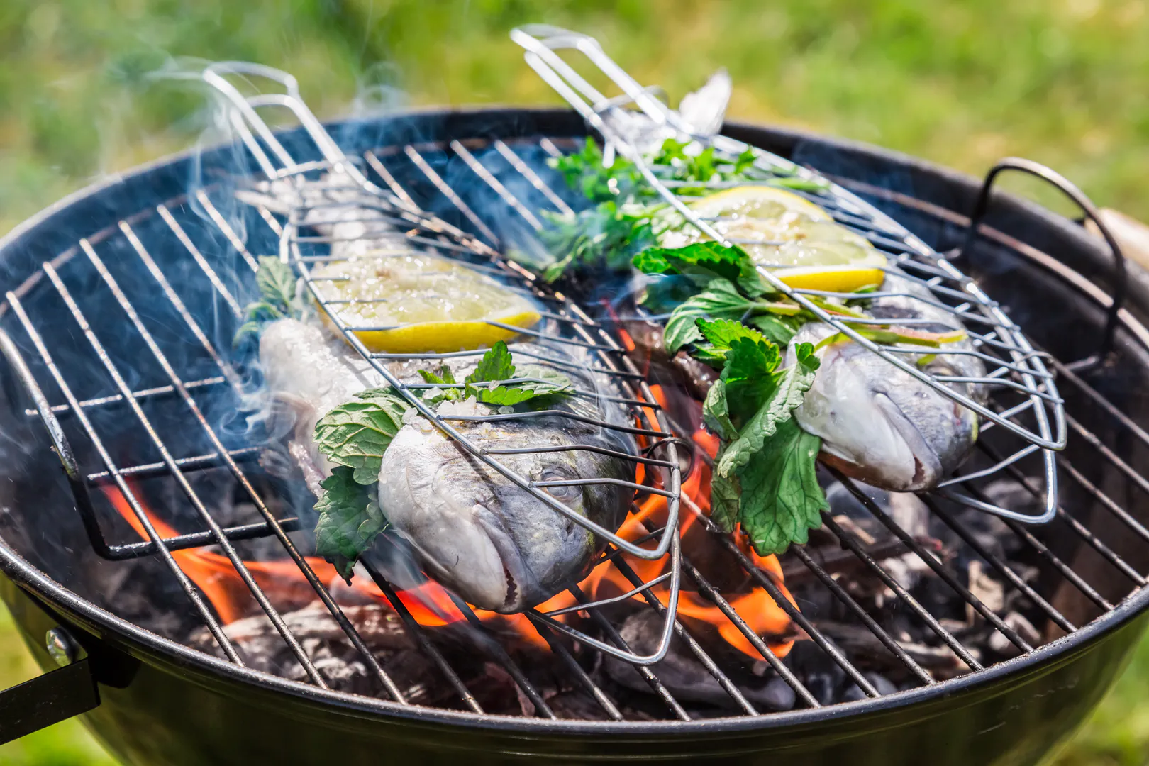 Odborníci prozradili tajemství dokonalé přípravy ryb na grilu