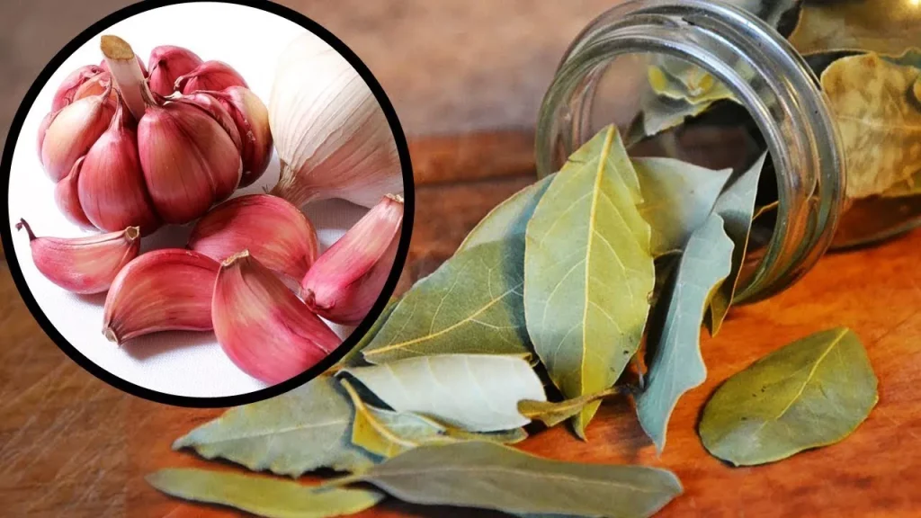Rozložte česnek do sklenic spolu s citronem a bobkovým listem. To je můj recept na zdraví.