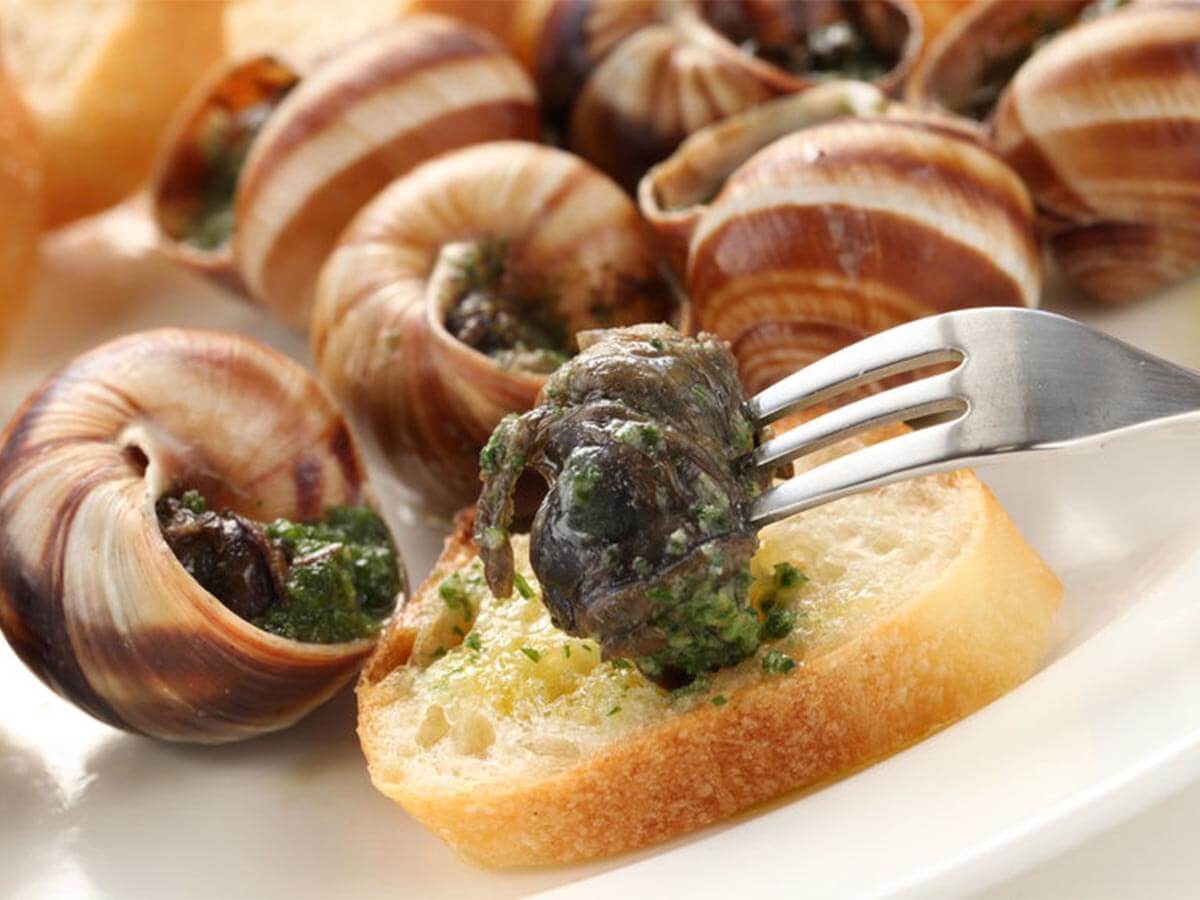 Jemné maso, bohaté na bílkoviny, jako kuře. Pro Francouze je to delikatesa, Čechům se z toho dělá špatně.