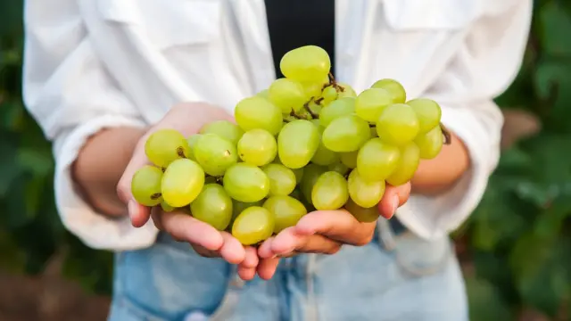 Studie ukazuje účinnost tohoto oblíbeného ovoce při snižování hladiny cholesterolu.